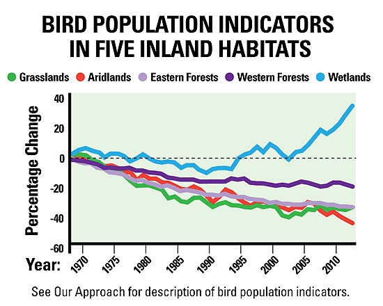North American Bird Chart
